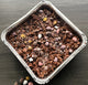 Mini Eggs Crunch Cake Tray