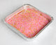 Pink School Cake Tray